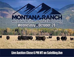 Online Embryo Auction Sale Book