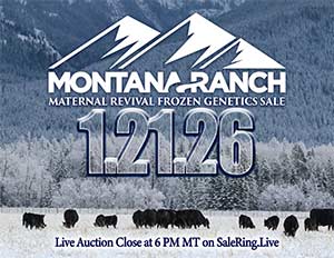 Online Embryo Auction Sale Book