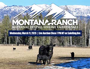 Online Embryo Auction Sale Book