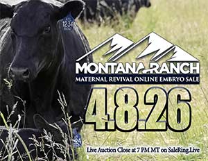 Online Embryo Auction Sale Book